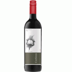 Curious Shiraz